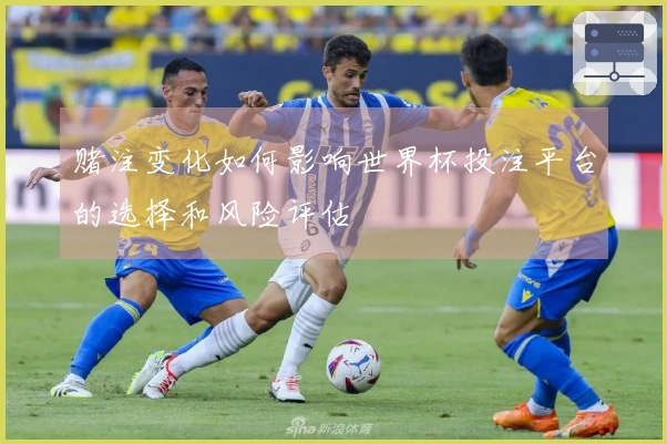 赌注变化如何影响世界杯投注平台的选择和风险评估
