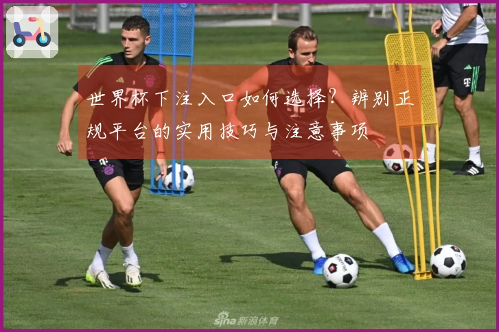 世界杯下注入口如何选择？辨别正规平台的实用技巧与注意事项