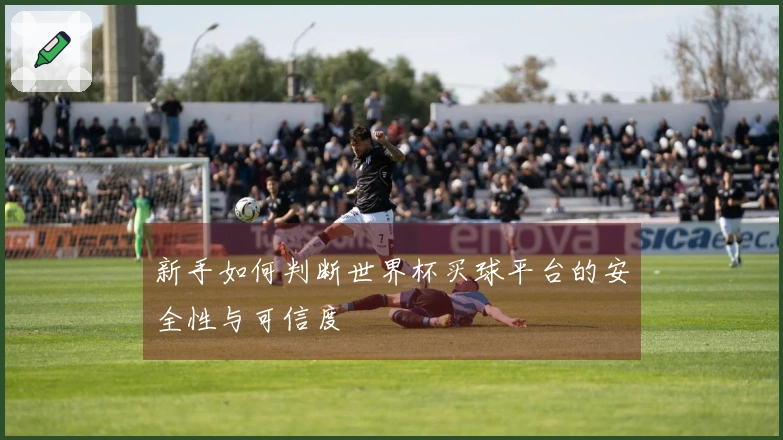 新手如何判断世界杯买球平台的安全性与可信度
