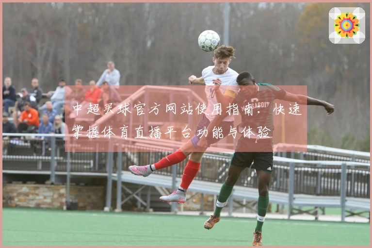 中超买球官方网站使用指南：快速掌握体育直播平台功能与体验