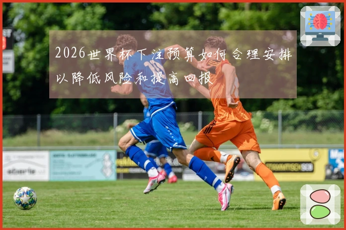 2026世界杯下注预算如何合理安排以降低风险和提高回报