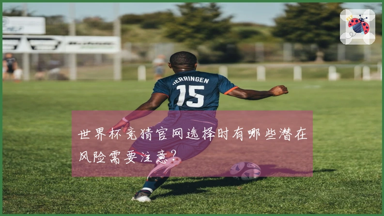 世界杯竞猜官网选择时有哪些潜在风险需要注意？
