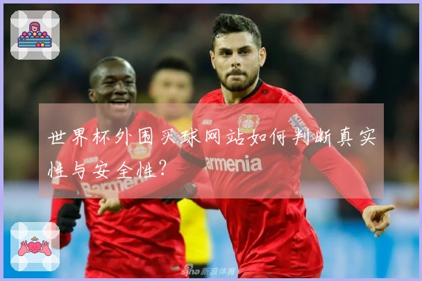 世界杯外围买球网站如何判断真实性与安全性？
