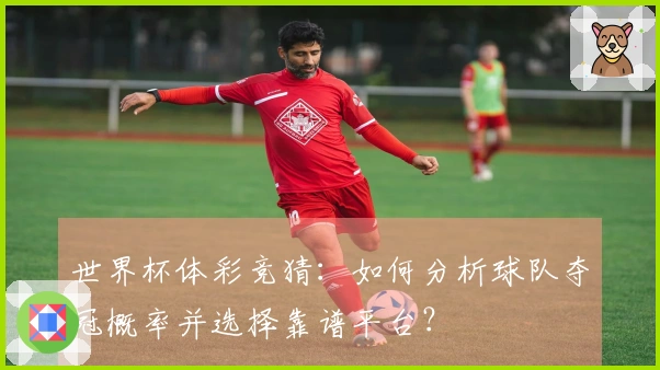世界杯体彩竞猜：如何分析球队夺冠概率并选择靠谱平台？
