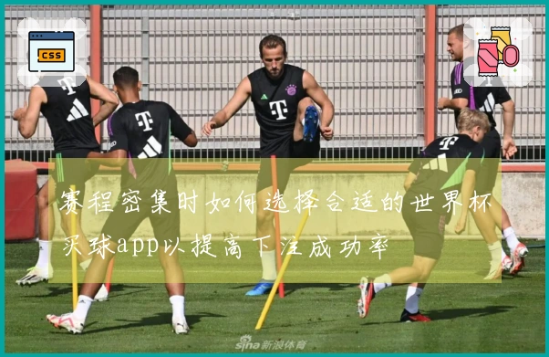 赛程密集时如何选择合适的世界杯买球app以提高下注成功率