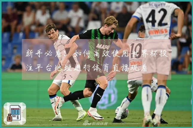 新手必看：如何高效使用世界杯投注平台地址进行体育直播观看