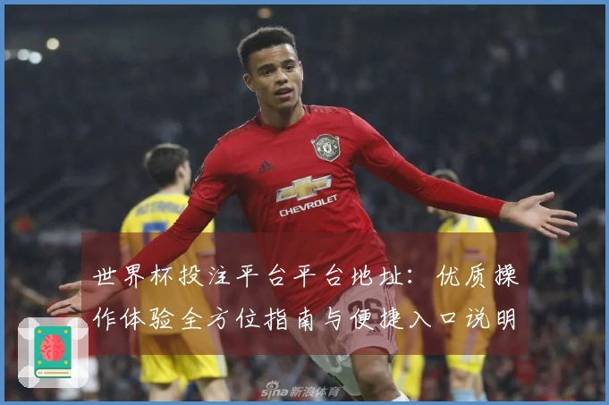 世界杯投注平台平台地址：优质操作体验全方位指南与便捷入口说明