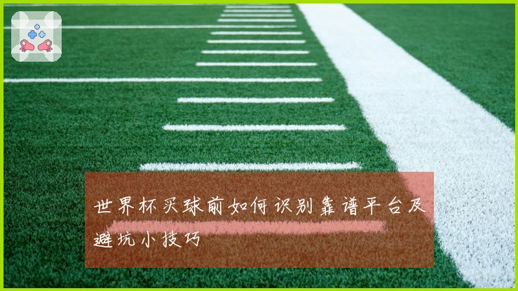 世界杯买球前如何识别靠谱平台及避坑小技巧