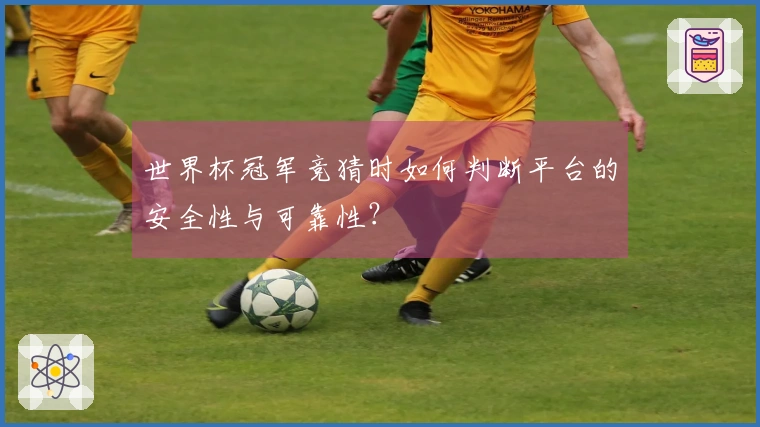 世界杯冠军竞猜时如何判断平台的安全性与可靠性？