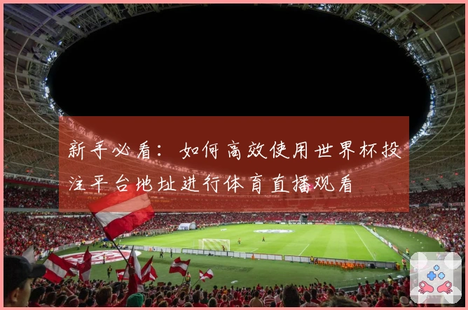 新手必看：如何高效使用世界杯投注平台地址进行体育直播观看
